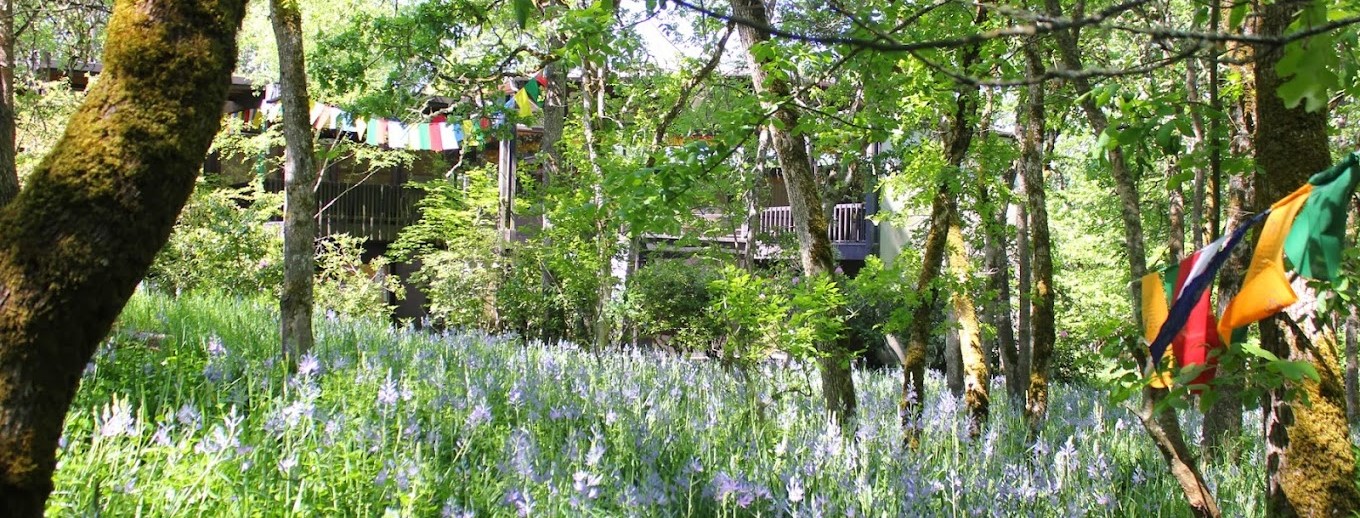 site_external_cropped Saraha's Garden